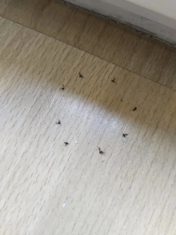 20 жутковатых кадров, которые сложно развидеть