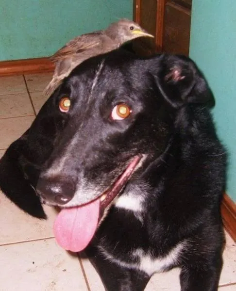 Дружба она такая