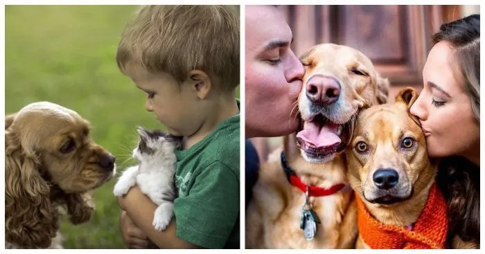 Ревность в большой семье – явление временное