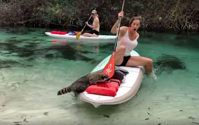 Фотоподборка