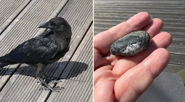 30 трогательных фото с животными, которые греют душу