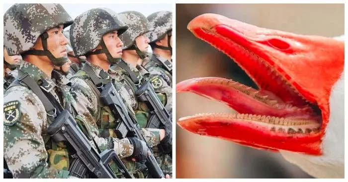 8 любопытных фактов обо всём на свете