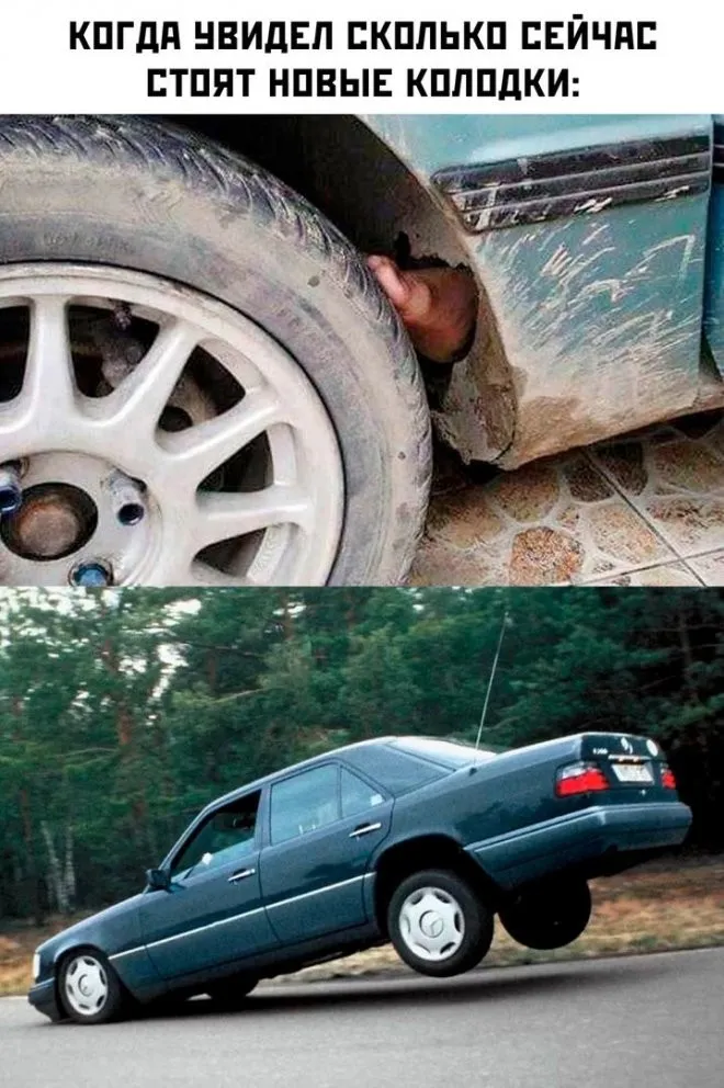 Фотоприколы и прикольные картинки