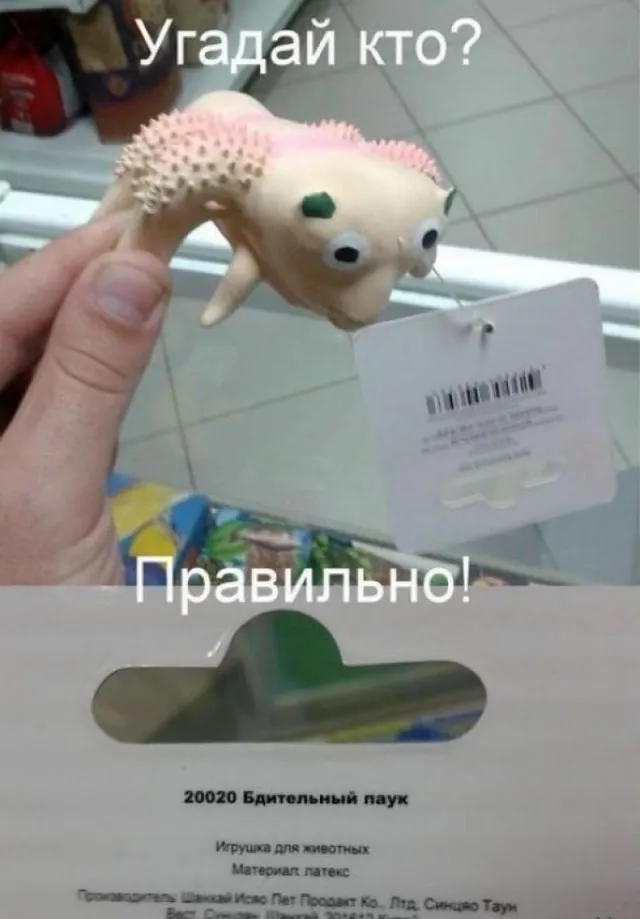 Фотоприколы и прикольные картинки