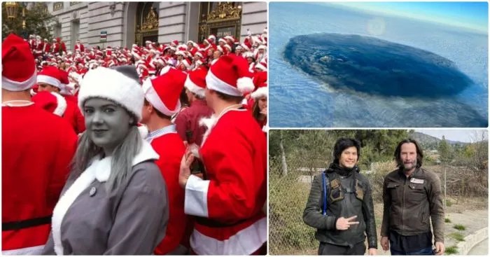 15 интересных фото обо всём на свете