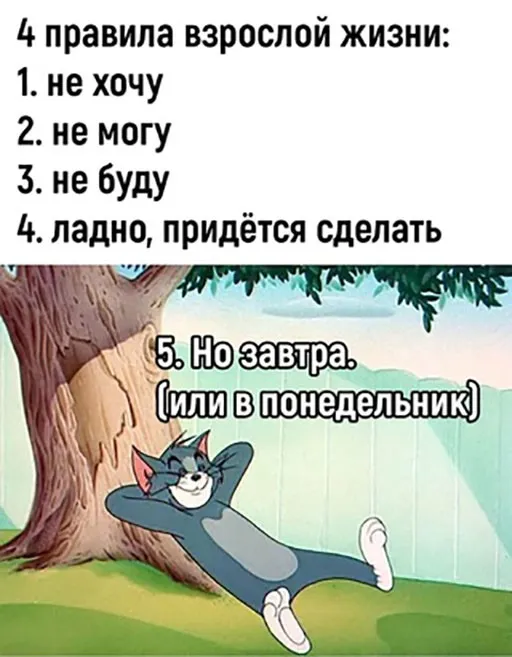 Фотоприколы и прикольные картинки