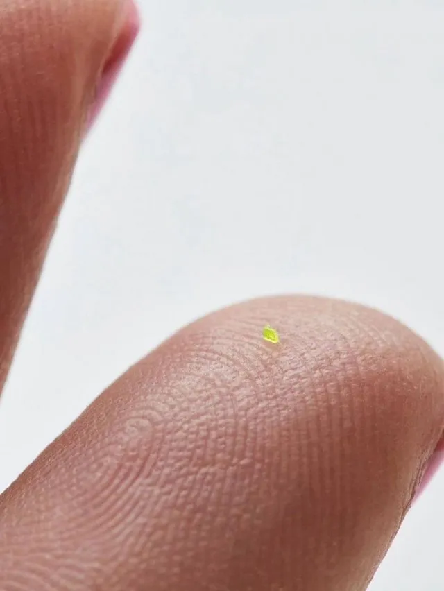 Нано-сумка Louis Vuitton от MSCHF продана на аукционе за 5,5 млн рублей