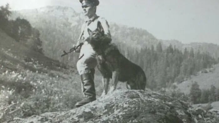 Загадочная собака