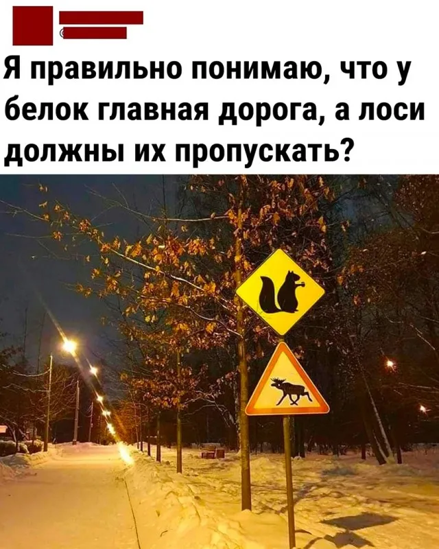 Так себе картинки