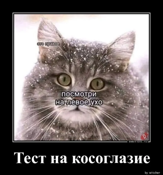 Картинки с надписями