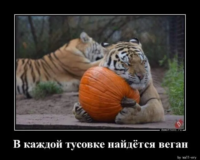 Картинки с надписями