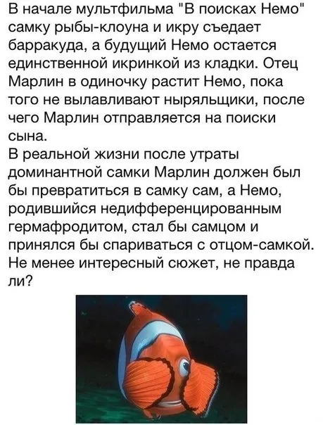 Так себе картинки