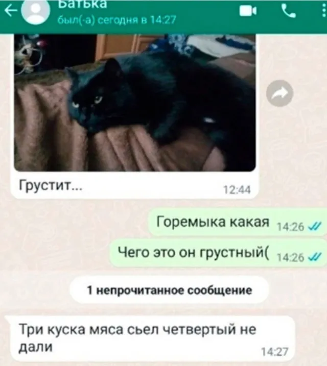Картинки