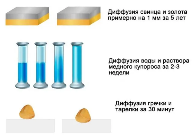 Околонаучная деградация