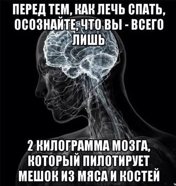 Околонаучная деградация