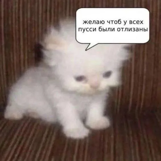 Нестандартный юмор :)