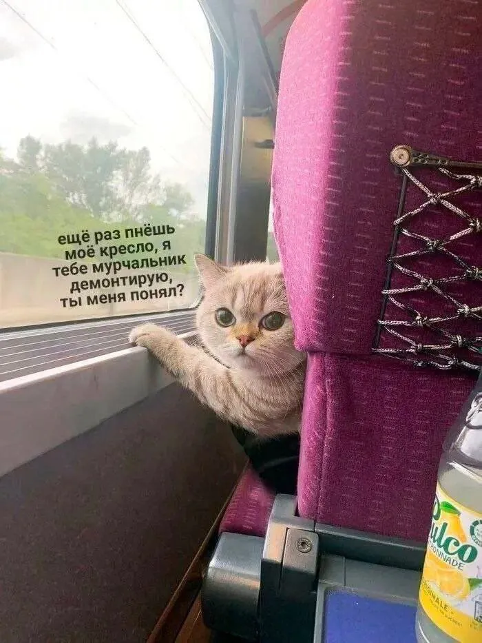 Нестандартный юмор :)