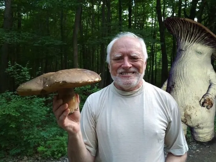 Нестандартный юмор :)