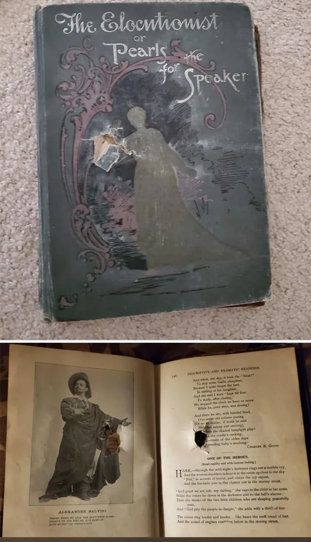 Что на самом деле происходит в Голливуде: 13 правдивых фото из самого звёздного места в мире