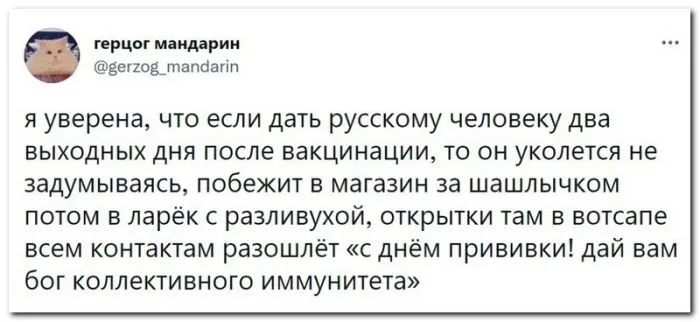 Скрины из соцсетей