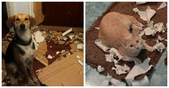 Ты – не ты, когда скучаешь