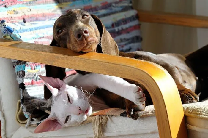 Ты – не ты, когда скучаешь