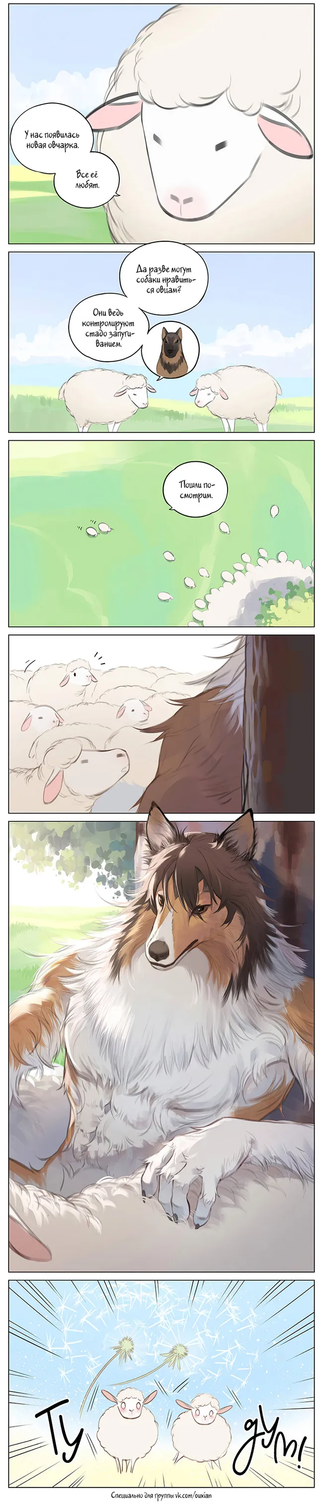 Новая овчарка⁠⁠