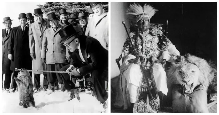 25 старых снимков, которые помогут взглянуть на некоторые вещи по-новому