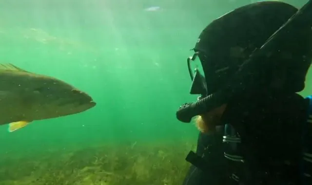 Скажи мне, кто твой друг, и я скажу, кто ты: мужчина подружился с окунем