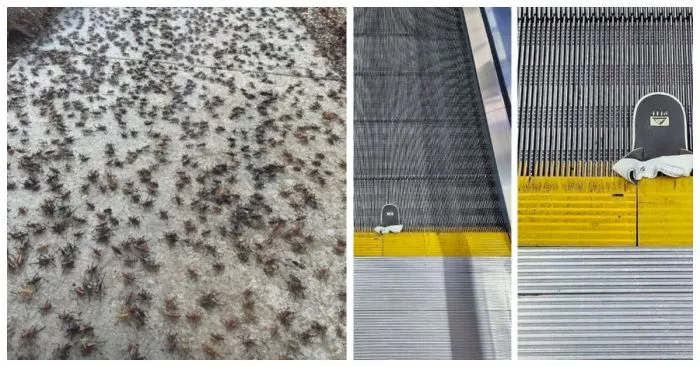 15 человек, которым срочно нужна кнопка перезагрузки