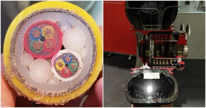 Как изнутри выглядят разные предметы