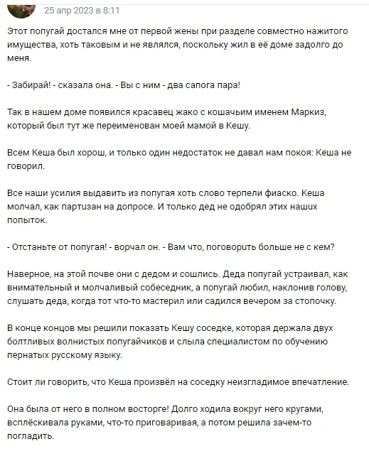 История про попугая