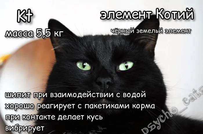 Система химических КОТОэлементов