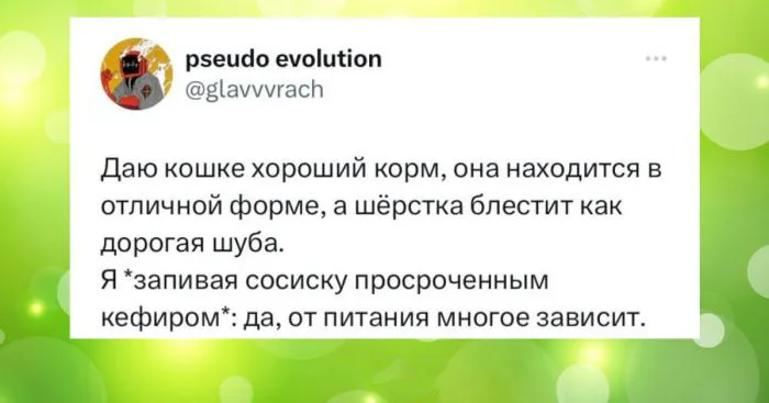 Подслушано: усатые твиты