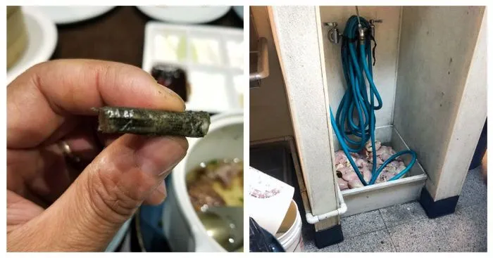 33 вопиющих случая, произошедших в общепите