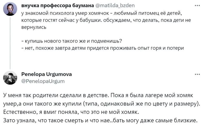 Людей спросили о самых нелепых смертях хомяков