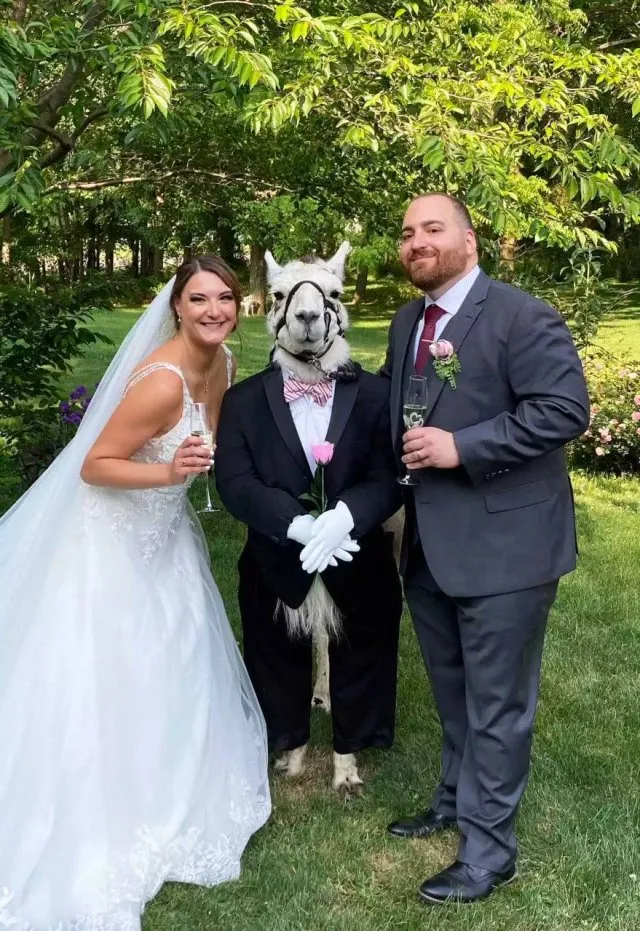 Самый милый шафер на свадьбе