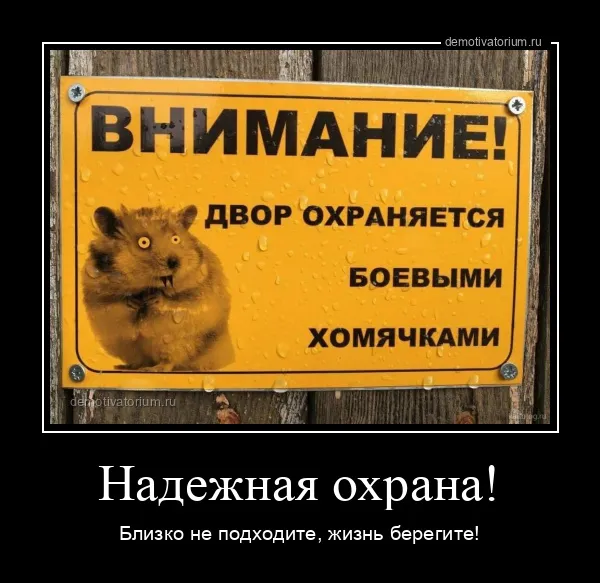 Демотиваторы