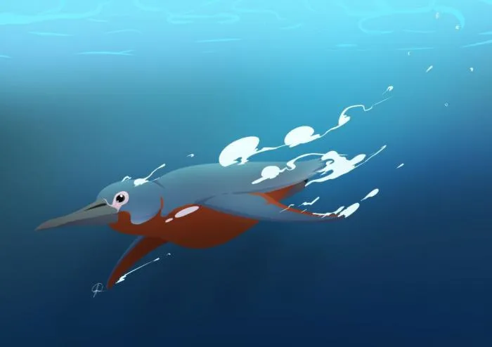 Инкаяку: Каков был древний пингвин? Большой рост, вес и необычный окрас