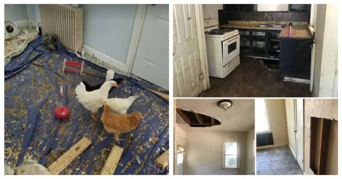27 адских квартирантов, превративших приличные дома в помойку