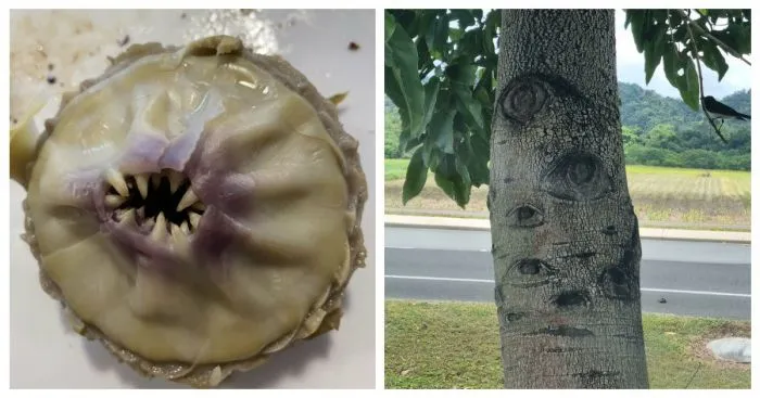 40 поразительных фотографий со всего мира