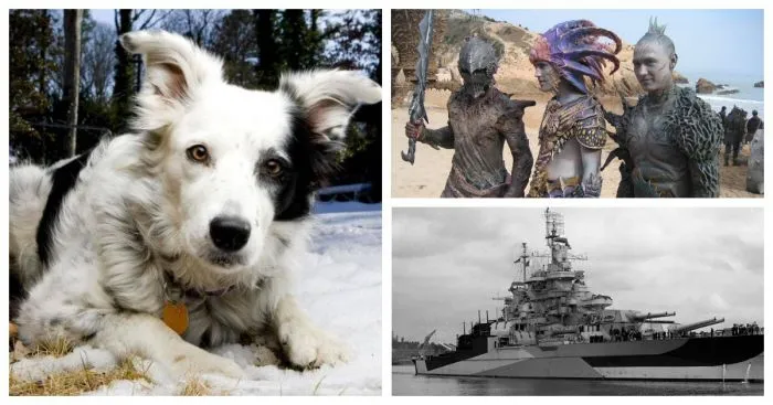 30 интересных фактов, о которых не расскажут в школе