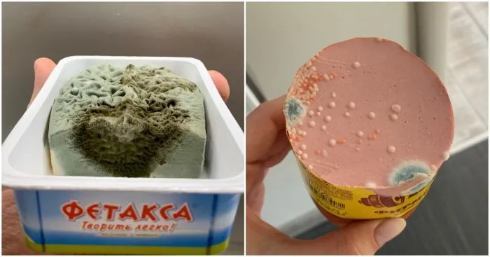 14 фотопримеров того, к чему приводит забывчивость