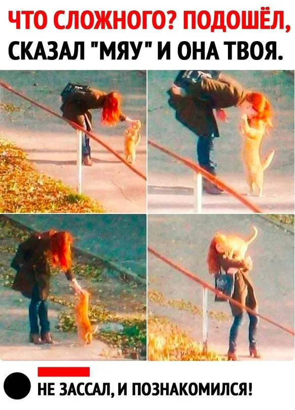 Фотоприколы и прикольные картинки