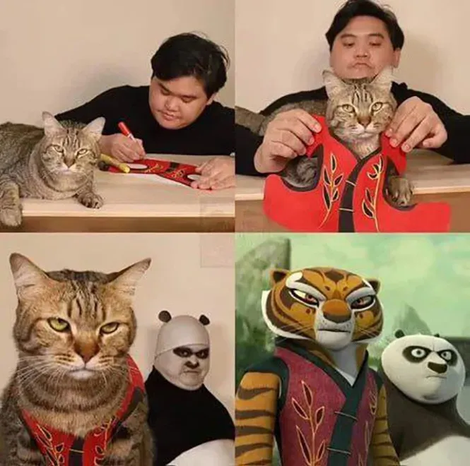 Фотоприколы и прикольные картинки