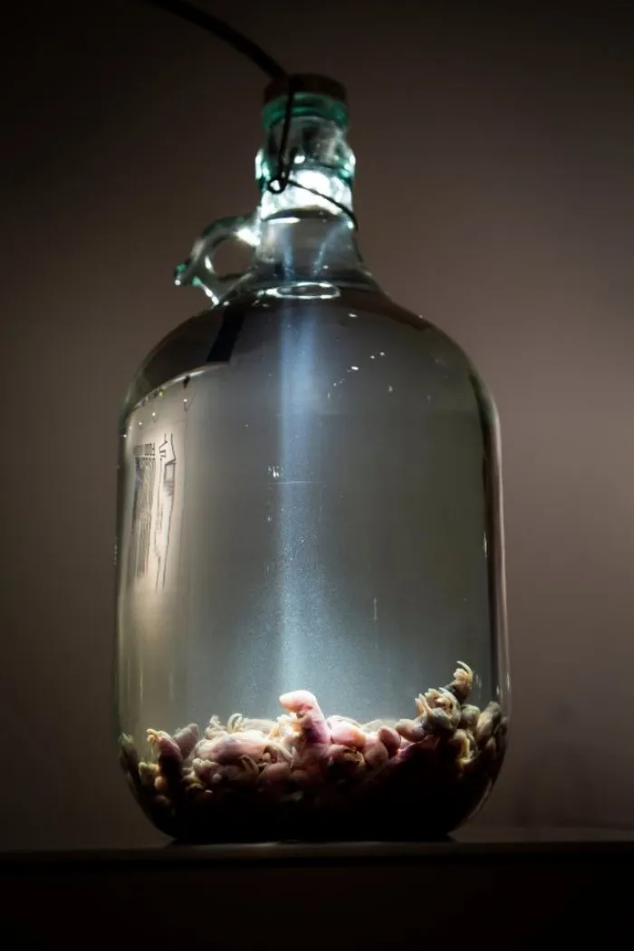 Отвратительная еда со всего света