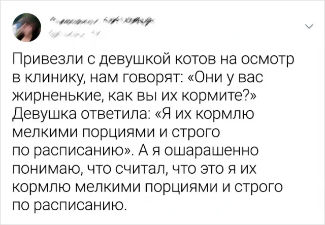 Подборка забавных твитов про животных