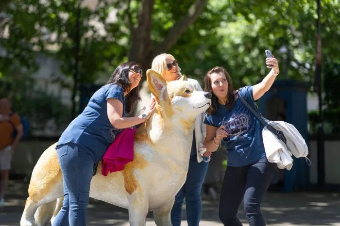 На общую тему