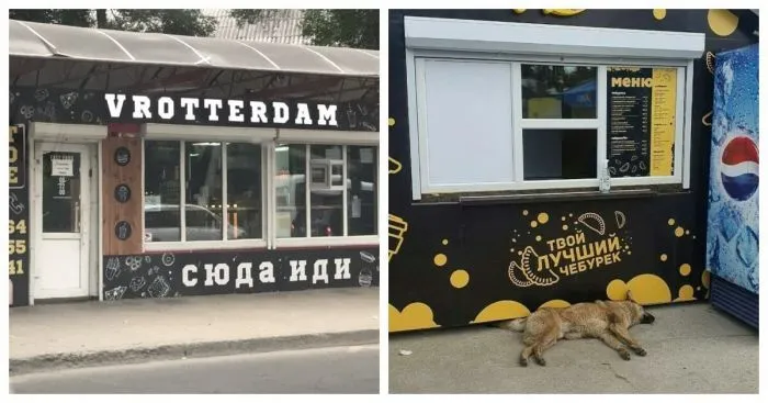 От гастрита до Бэтмена: суровые сети быстропита