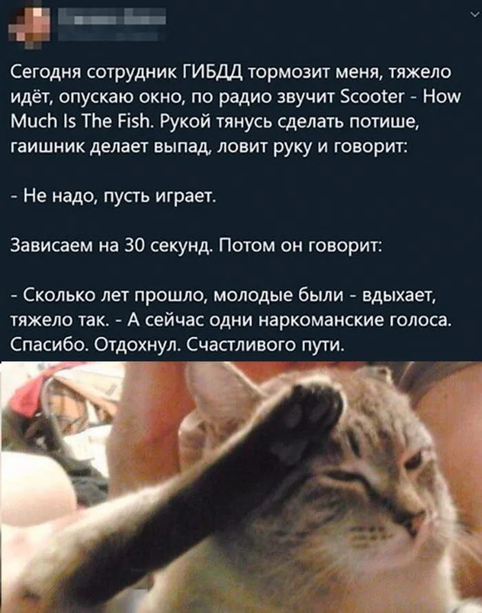 Скрины из соцсетей